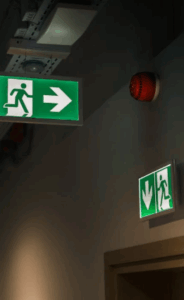 Bright green emergency exit signs hang above a long hallway inside a public building.